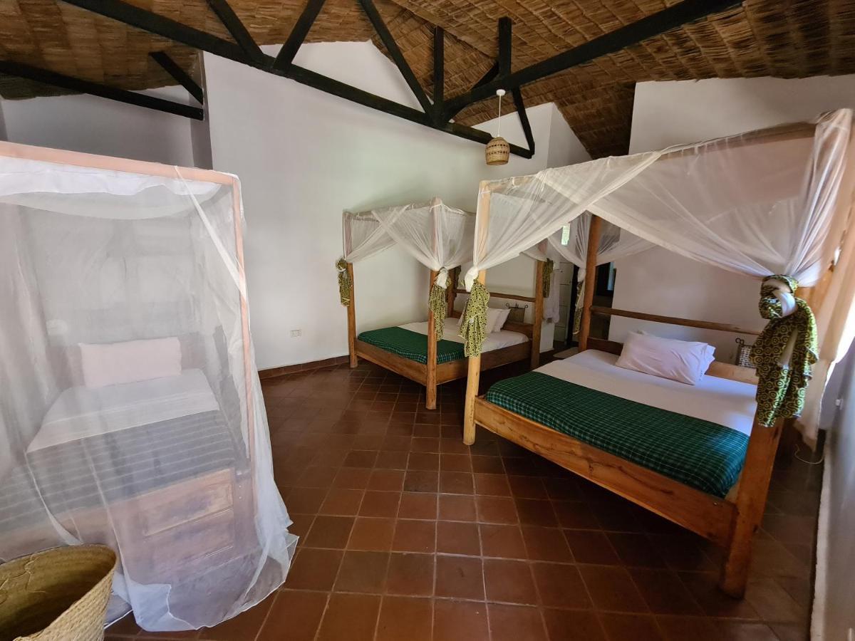 Honey Badger Lodge Moshi Exteriör bild
