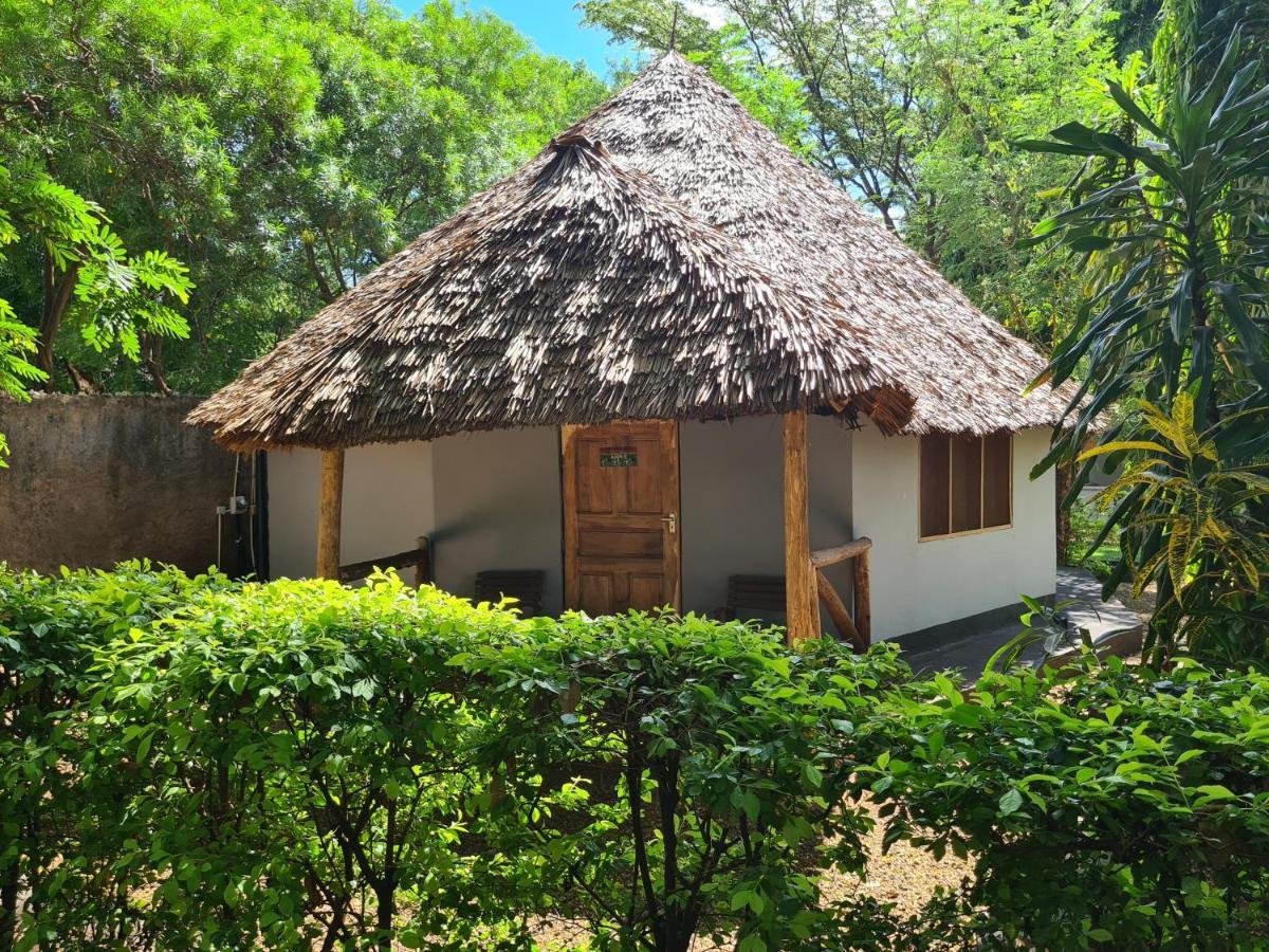 Honey Badger Lodge Moshi Exteriör bild